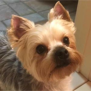 Meet your Posher, Joan